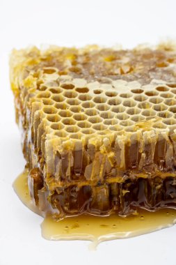 Beyaz arkaplanda izole edilmiş ballı bal peteği