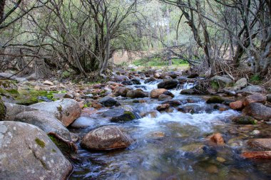 Dağ nehri taşlarla dolu.