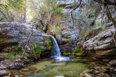 Dağdaki bir derede şelale