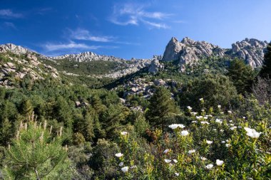 Pedriza doğal parkının panoramik görüntüsü