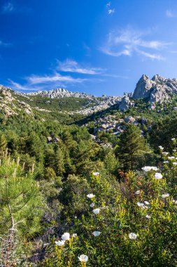 Pedriza doğal parkının panoramik görüntüsü