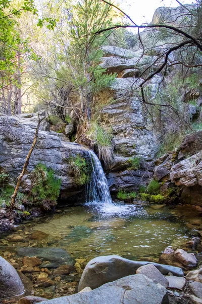Waterfall Mountain Stream — Stock Photo, Image
