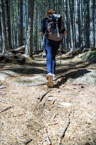 Chica Caminando Sendero Montaña Entre Bosque Pinos — Foto de Stock
