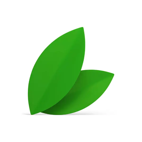 Folhagem Orgânica Ecológica Folhas Verdes Bio Natural Botânica Exuberante Elemento — Vetor de Stock