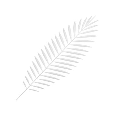 Tropik eğreltiotu beyaz zarif ağaç dalı cennet botanik sanat dekoru 3 boyutlu gerçekçi vektör çizimi. Egzotik yağmur ormanları yemyeşil yapraklar düğün güzelliği kaplıca elementi.