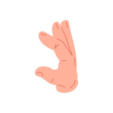 Yarım kalp halkası gösteren insan eli parmakları yakala ikon vektör düz çizimi yap. Erkek karikatür kolu yuvarlak aşk çemberi pozisyonu soyut romantik sembol zarif vücut dilini gösteriyor