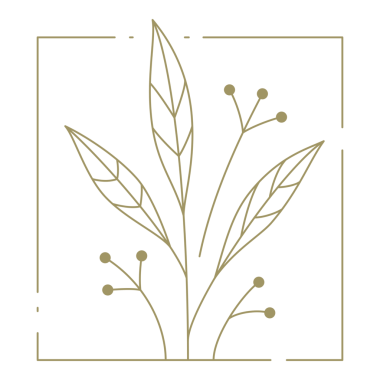 Kare çerçeveli böğürtlenli şube sanat tasarım elementi