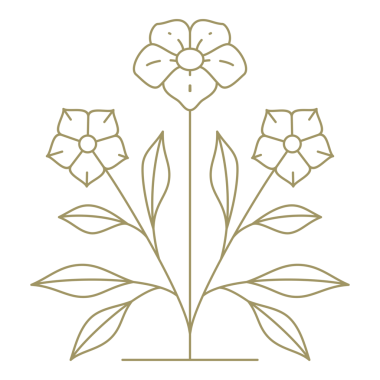 Minimalist çiçek çizgisi tasarım elementi