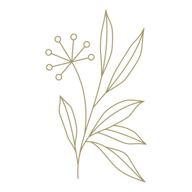 Minimalist çiçek çizgisi tasarım elementi