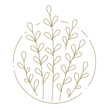 Çember çerçeve çizgisi tasarım elementinde yalanları olan dallar