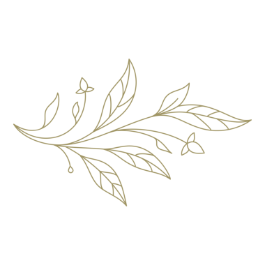 Yaprak çizgisi tasarım elementi olan minimalist dal