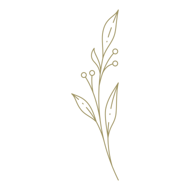 Böğürtlen dalları sanat minimalist tasarım elementi