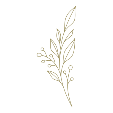 Böğürtlen dalları sanat minimalist tasarım elementi