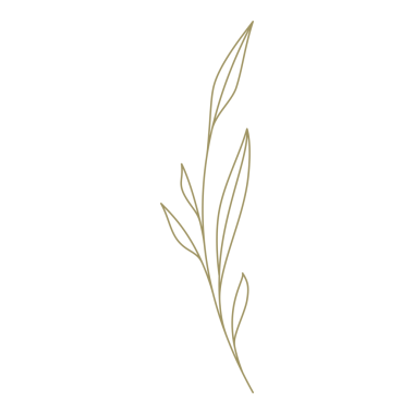 Yaprak çizgisi tasarım elementi olan minimalist dal