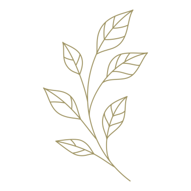 Böğürtlen dalları sanat minimalist tasarım elementi