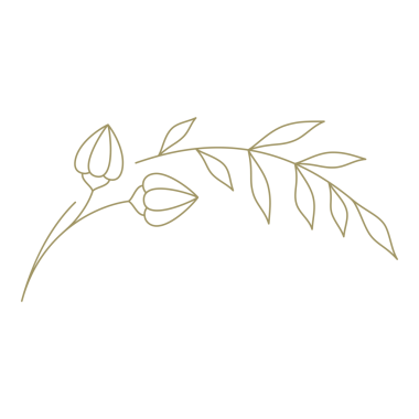 Yaprak çizgisi tasarım elementi olan minimalist dal