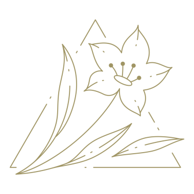 Üçgen çerçeve çizgisi tasarım elementinde çiçek