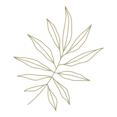 Yaprak çizgisi tasarım elementi olan minimalist dal