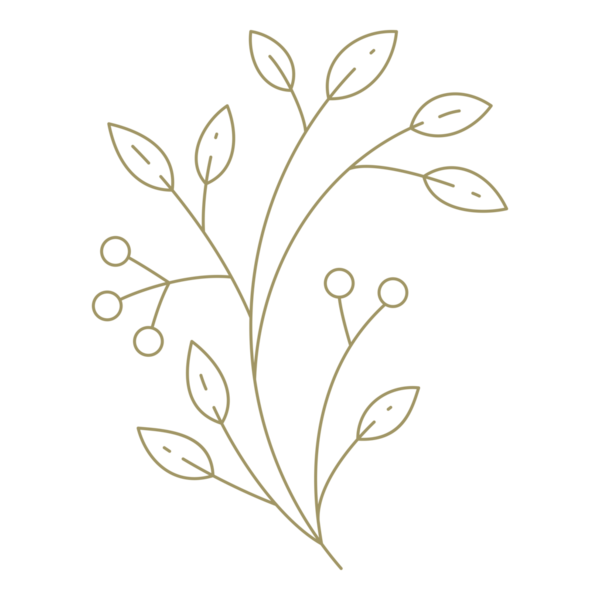 Böğürtlen dalları sanat minimalist tasarım elementi