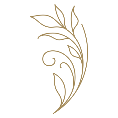 Yapraklı romantik botanik dalı ve çiçek açan bahar bereketli sanat ikonu çizimi. Zarif çiçek, vahşi bitki, organik hassasiyet, cilt bakımı, güzellik tasarımı.