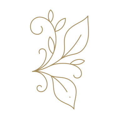 Zarif eğimli doğal kök botanik büyüme ekolojisi dekoratif tasarım çizgisi sanat ikonu çizimini geride bırakır. Tek renkli altın doğrusal bahar çiçeği vahşi bitkiler romantik organik flora ortamı