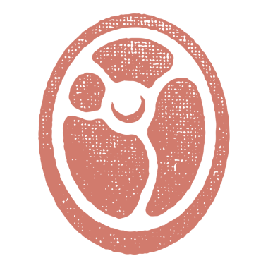 Beyaz arka planda izole edilmiş kemik silueti olan taze etli biftek. Tarla veya kasap logosu için desenli illüstrasyon çizilmiş.