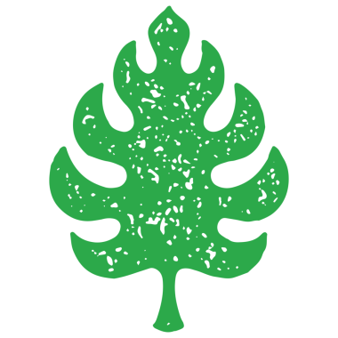 El çizimi yeşil tropikal yaprak grunge doku çizimi. Tek renkli doğal cennet ağacı yaprakları süs köşeleri ve beyaza izole edilmiş gövde. Dekoratif tasarım eğreltiotu yaprakları