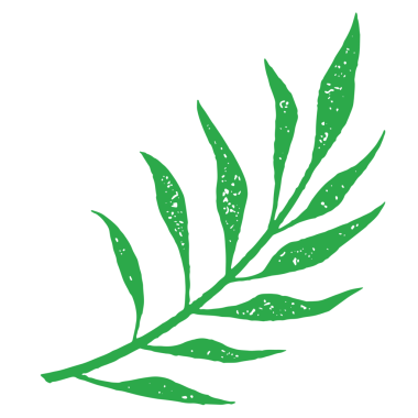 Yapraklı yeşil doğal bitki örtüsü ve okaliptus dal grunge doku çizimi. Minimalist el yapımı doğa bitkisi, yağmur ormanları eğreltiotu veya cennet ağacı dekoratif tasarımı izole edilmiş.