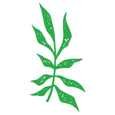 El çizimi minimalist yeşil dallı, saplı ve tek renkli grunge desenli resimli. Yağmur ormanlarının, bahçelerin, yaz parklarının izole edilmiş logolar çizimi.