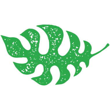 Yatay eğreltiotu doğal tropikal bitki süsleme kenarları yeşil grunge doku çizimi. Egzotik muz yaprağı dekoratif desen çiçek bitkisi yeşili izole edilmiş. Cennet ekoloji yeşilliği