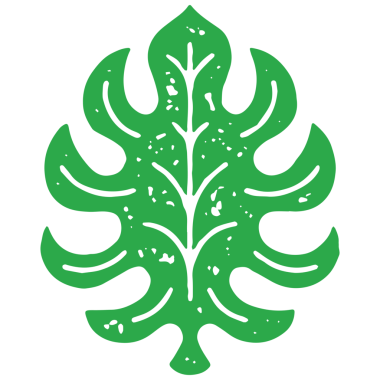 Dekoratif tropikal süslemeli yeşil yaprak doğal egzotik bitki eli grunge doku çizimi. Yağmur ormanı eğreltiotu doğa yeşil bitki örtüsü izole. Minimalist dekoratif tasarım