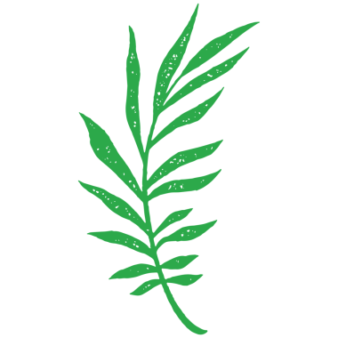 Yaprakları olan doğal yeşil ağaç dalı ve kök cenneti egzotik eğrelti otu gelişen bitki eli grunge doku çizimi. Tropik bitki yeşilliği geleneksel yağmur ormanları bitki örtüsü