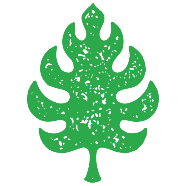 El çizimi yeşil tropikal yaprak grunge doku çizimi. Tek renkli doğal cennet ağacı yaprakları süs köşeleri ve beyaza izole edilmiş gövde. Dekoratif tasarım eğreltiotu yaprakları