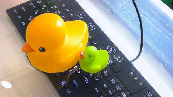 Yellow duck on the black keyboard background. Cute rubber ducks. Keyboard under the water.