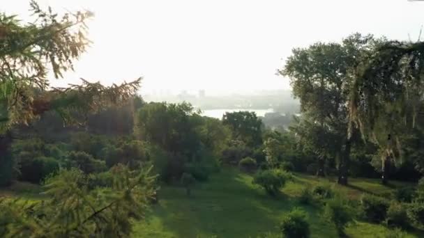 Paisaje Árboles Brillante Luz Del Atardecer Vista Desde Dron Parque — Vídeo de stock