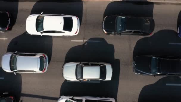 2019 우크라 Kyiv 자동차에 도로에 — 비디오