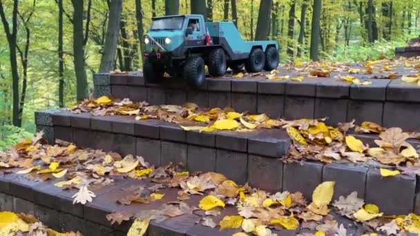 우크라이나 키예프 2021 아래로 내려가는 공원에 장난감 자동차 — 비디오