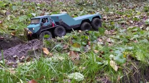 乌克兰基辅 2021年9月26日 Rc玩具车与草叶在崎岖潮湿的地面上 崎岖地形下的Rc平板车 — 图库视频影像