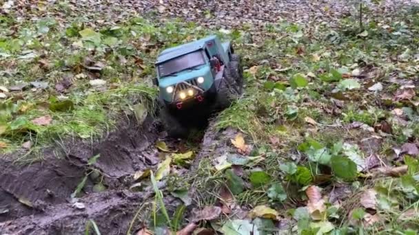 乌克兰基辅 2021年9月26日 Rc玩具车通过带有湿土的战壕 无线电控制在崎岖的地形上把拖曳卡车压平了 草和树叶 — 图库视频影像