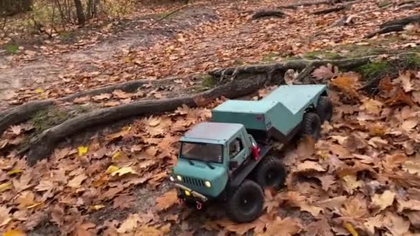 乌克兰基辅 2021年9月26日 Rc车辆在崎岖的地形上 树根和干枯的秋叶 无线电控制平板车 — 图库视频影像
