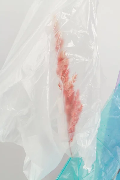 Rote Stacheln Einer Plastiktüte Verschließen Umweltverschmutzung — Stockfoto