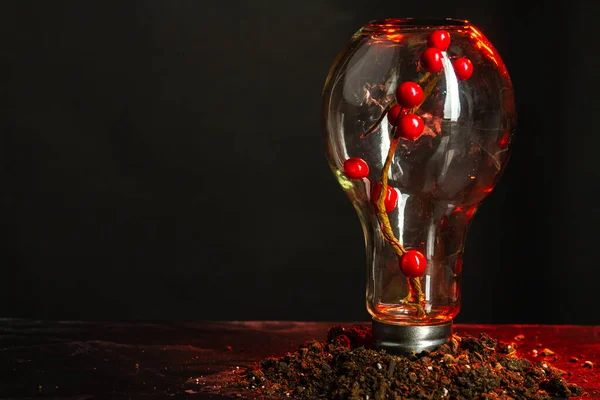 Nahaufnahme Einer Glühbirne Mit Roten Beeren Isoliert Auf Schwarz Mit — Stockfoto