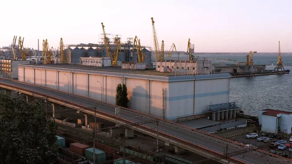 Tower Cranes Odesa Sea Port Evening Urban Cityscape — Stock Photo, Image