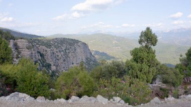 Aerial drone view to green mountain valley on a summer day. Summer nature landscape.