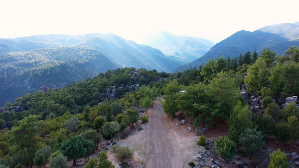 Top Mountain Evergreen Trees Road Peak Mountain — Stockfoto