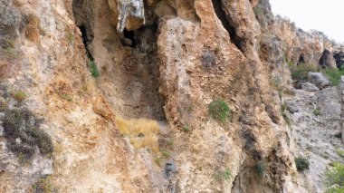 Erotik uçurum, yakın çekim. Rocky Dağı 'nın detaylı manzarası. Devasa yıpranmış kaya.