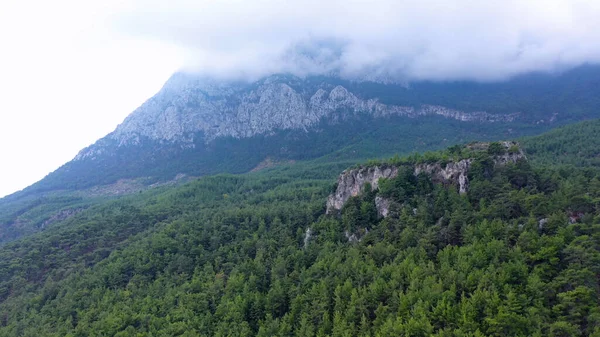 Dağlardaki Yeşil Ormanların Panoramik Manzarası Dağlar Sisle Kaplı Nsansız Hava — Stok fotoğraf