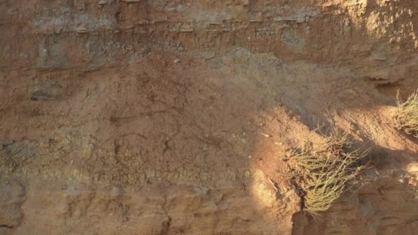 工业采石场工作底墙或板材的地质切割 沙质地面纹理的浮雕 — 图库视频影像