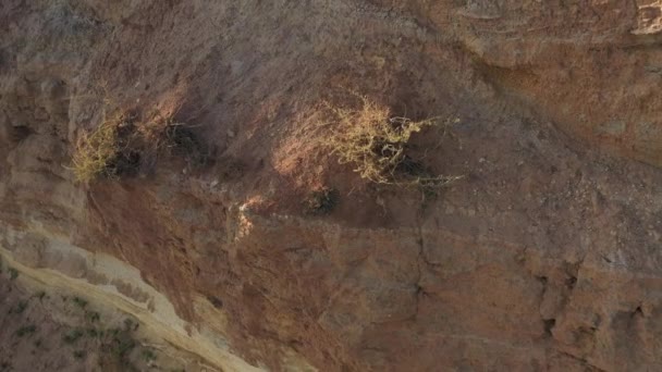 Voando Sobre Paisagem Textura Arenosa Ambiente Deserto Corte Geológico Parede — Vídeo de Stock