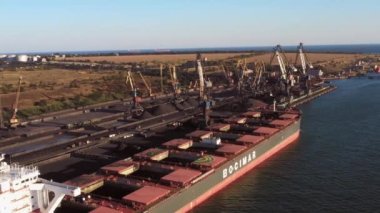 Odesa, Ukrayna - 12.07.2021: Bir deniz limanında vinç ve kömür yığınları. Sevkiyat ve ulaşım.